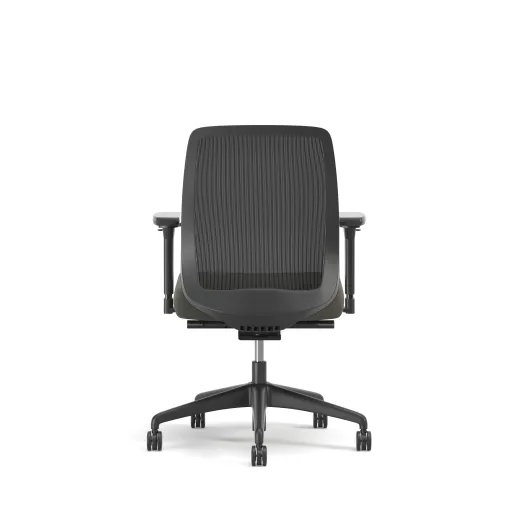 Bolton, Task Chair, Mid-Back, Mesh, Back View