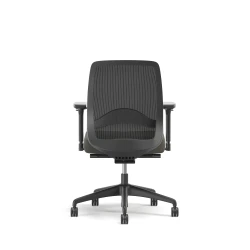 Bolton, Task Chair, Mid-Back, Mesh, Lumbar, Back View