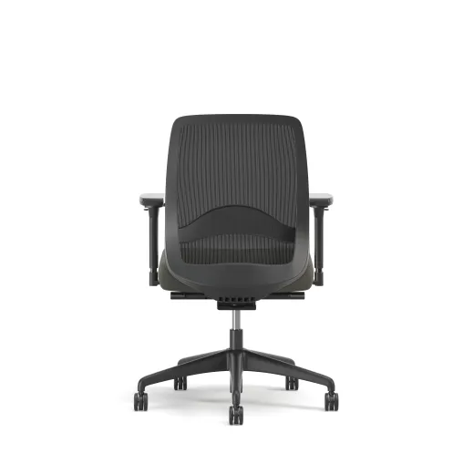 Bolton, Task Chair, Mid-Back, Mesh, Lumbar, Back View