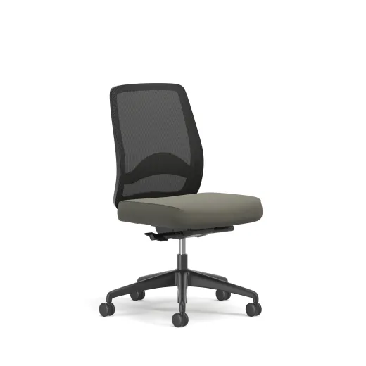 Bolton, Task Chair, Mid-Back, Mesh, Lumbar, 3/4 View