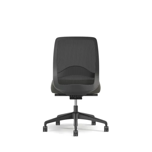 Bolton, Task Chair, Mid-Back, Mesh, Lumbar, No Arms, Back View