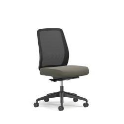 Bolton, Task Chair, Mid-Back, Mesh, No Arms, 3/4 View