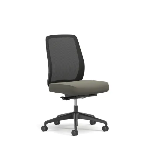 Bolton, Task Chair, Mid-Back, Mesh, No Arms, 3/4 View