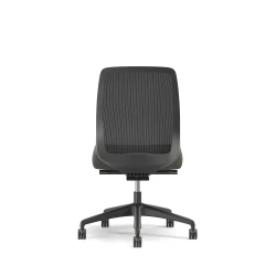 Bolton, Task Chair, Mid-Back, Mesh, No Arms, Back View