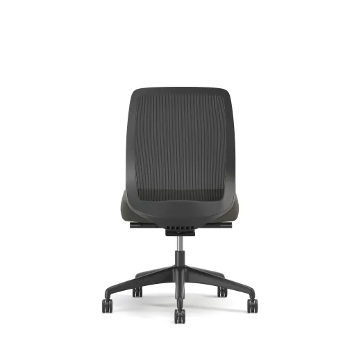 Bolton, Task Chair, Mid-Back, Mesh, No Arms, Back View