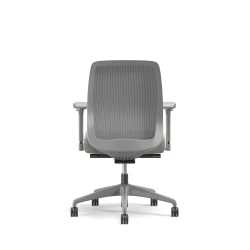Bolton, Task Chair, Mid-Back, Mesh, Back View