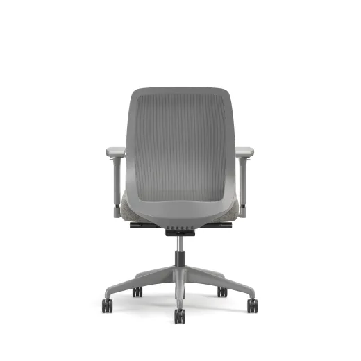 Bolton, Task Chair, Mid-Back, Mesh, Back View