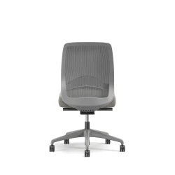 Bolton, Task Chair, Mid-Back, Mesh, Lumbar, No Arms, Back View