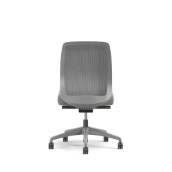 Bolton, Task Chair, Mid-Back, Mesh, No Arms, Back View