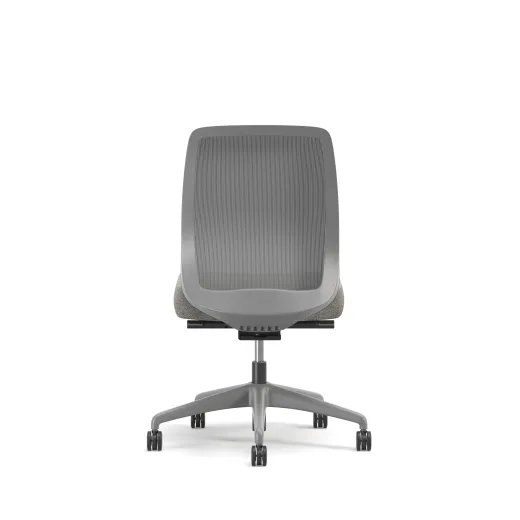Bolton, Task Chair, Mid-Back, Mesh, No Arms, Back View