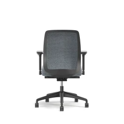 Bolton, Task Chair, Mid-Back, Upholstered, Back View