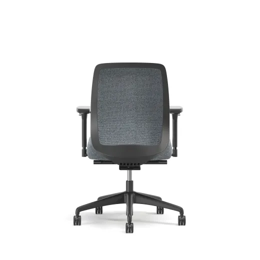 Bolton, Task Chair, Mid-Back, Upholstered, Back View