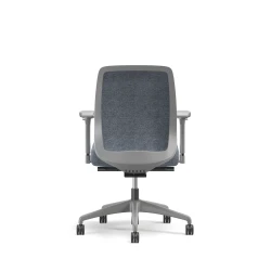 Bolton, Task Chair, Mid-Back, Upholstered, Back View