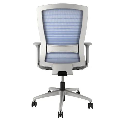 Natick Back View with Lumbar