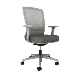 Natick with Grey Base, Grey Solid Mesh with Lumbar and Standard Grey Fabric Seat, Front Left View