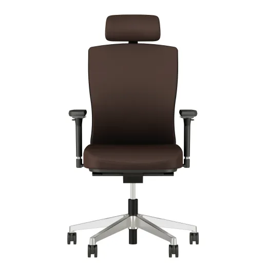 Natick Executive chair with 4D Arms and Headrest
