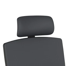 Natick Headrest Detail