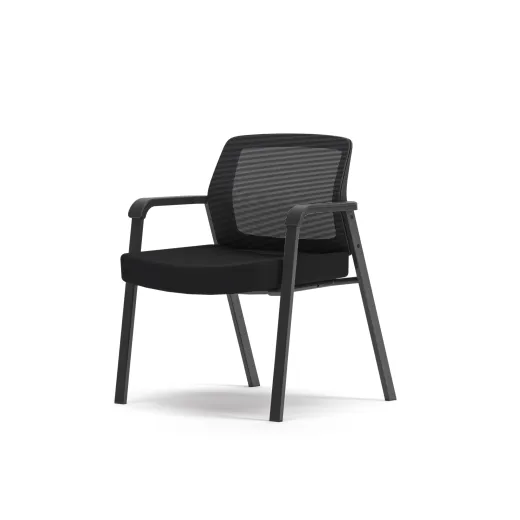 Paxton XL Side Chair - Express