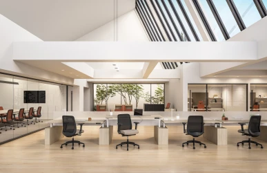 Bolton family in open plan, conference, and private office